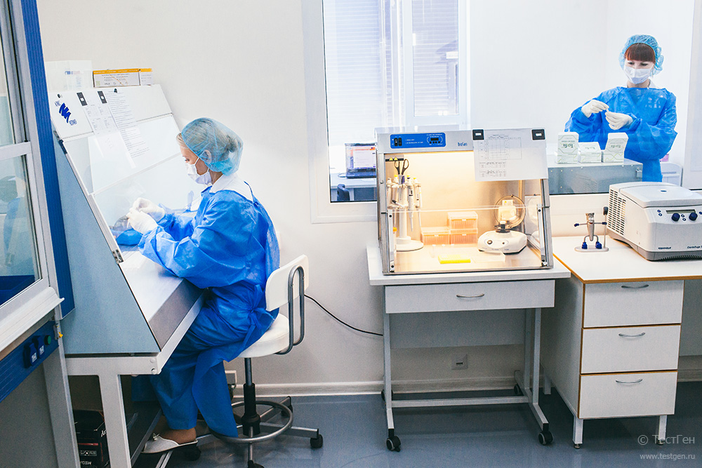 testgen тестген