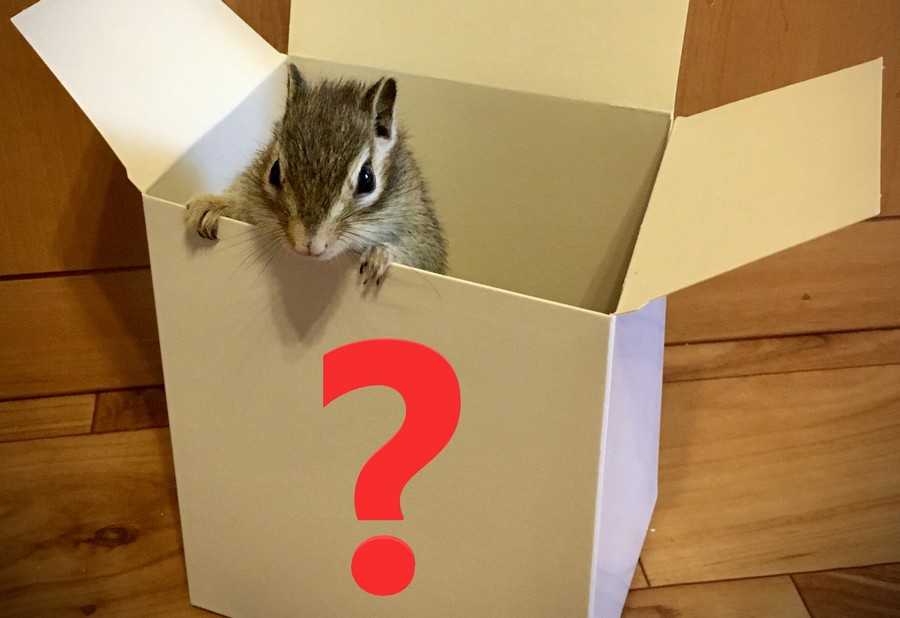 Все, что вы всегда хотели знать об упаковке, но боялись спросить Все, что вы всегда хотели знать об упаковке, но боялись спросить