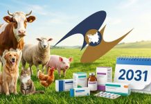 Что случится в 2031 году? Регулятор обозначил «дедлайн» по правилам ЕАЭС для ветпрепаратов Что случится в 2031 году