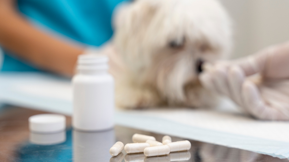 vet-med ветпрепараты