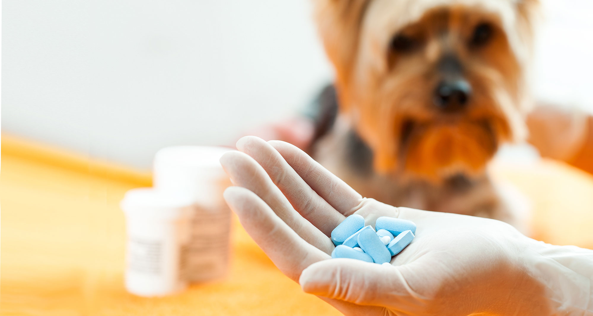 vet-preparaty оборот ветеринарных препаратов