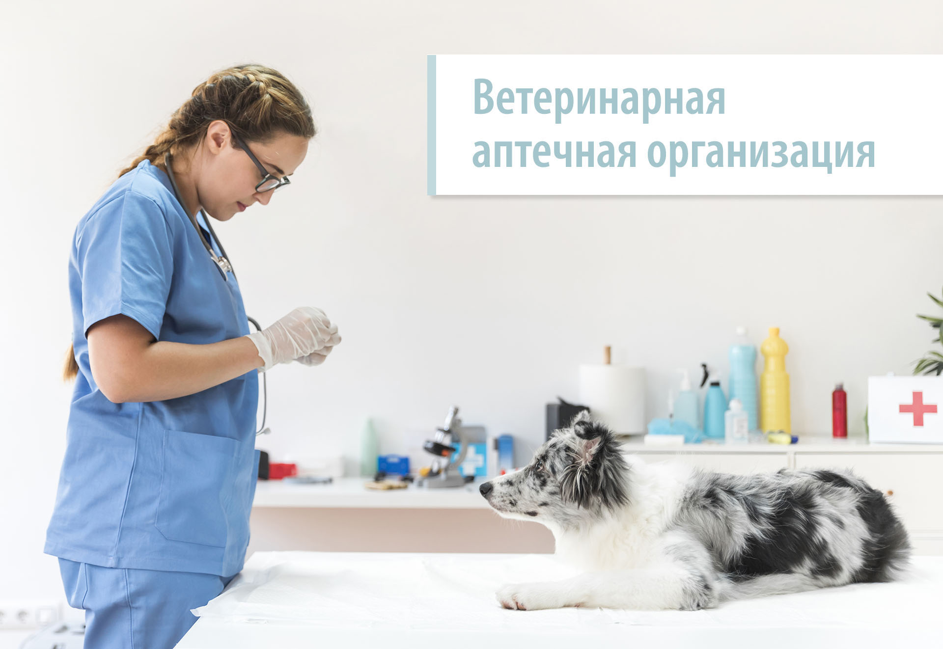veterinarian Ветаптека