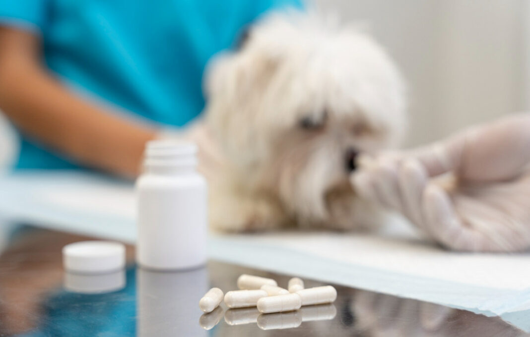 ветеринарные препараты ветеринарные препараты