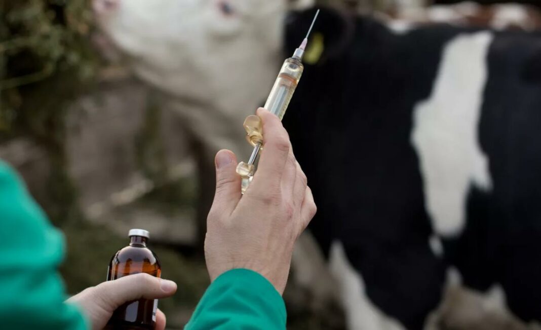 veterinary-vaccine ветеринарные вакцины