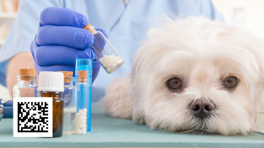 vetpreparat ветпрепараты