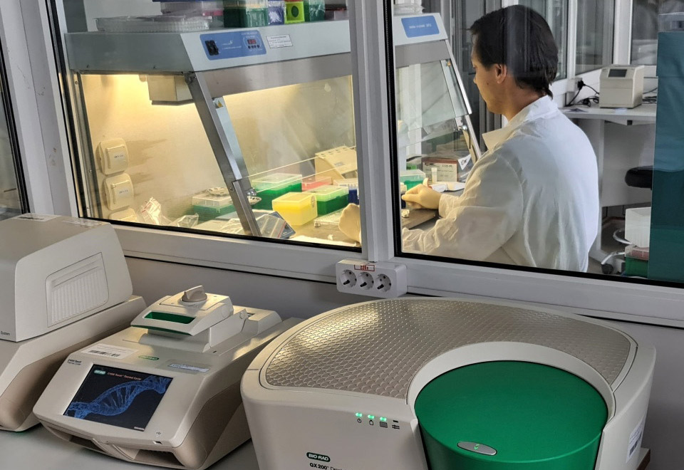 vniim В Институте метрологии