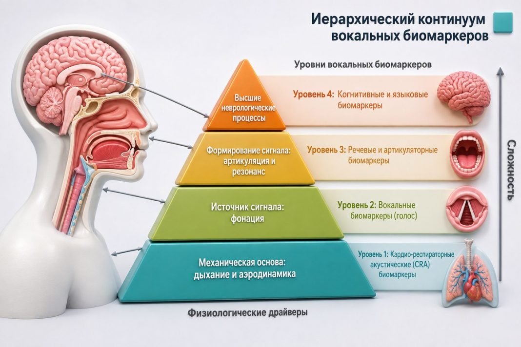 Голосовые биомаркеры