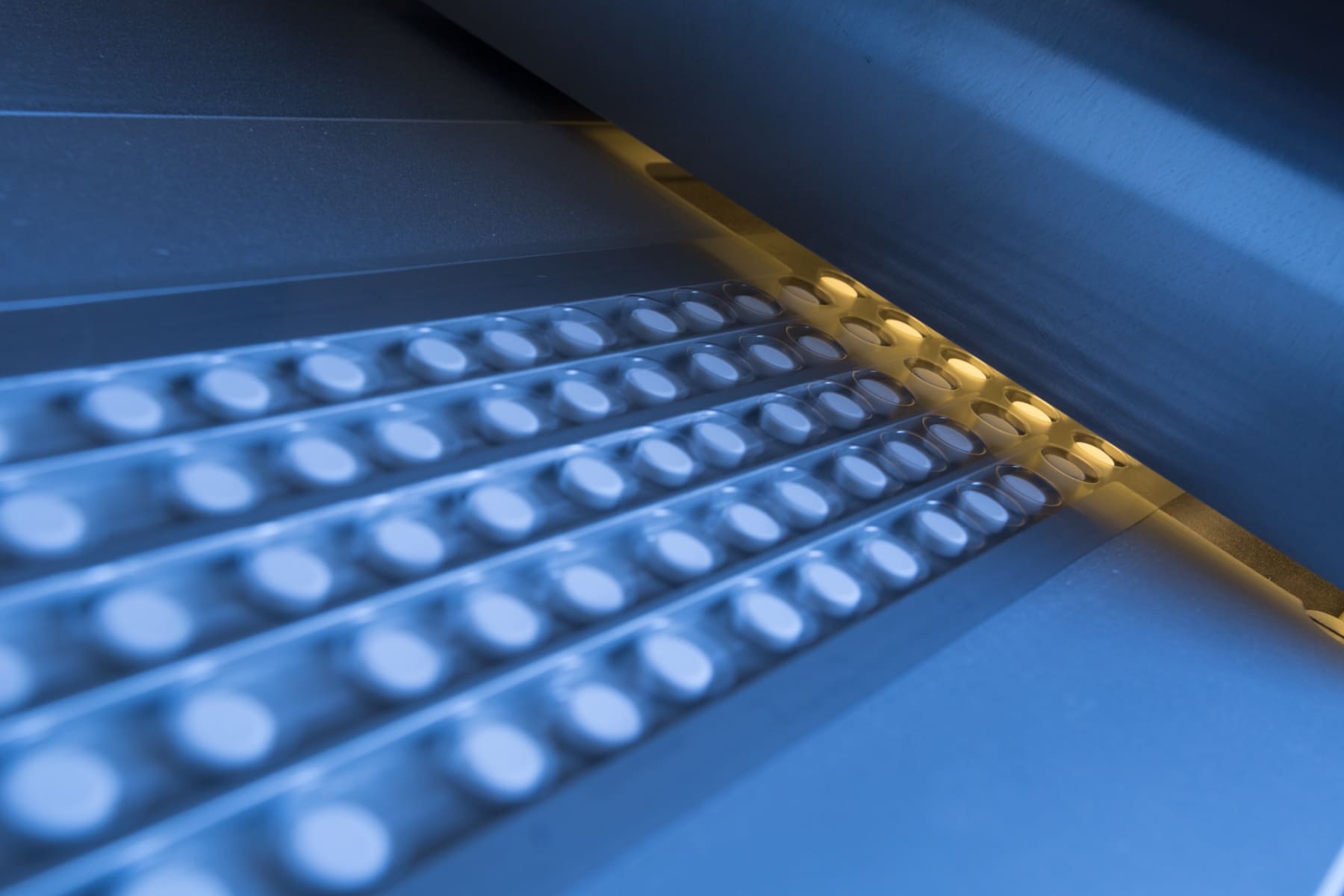 Вертекс Вертекс