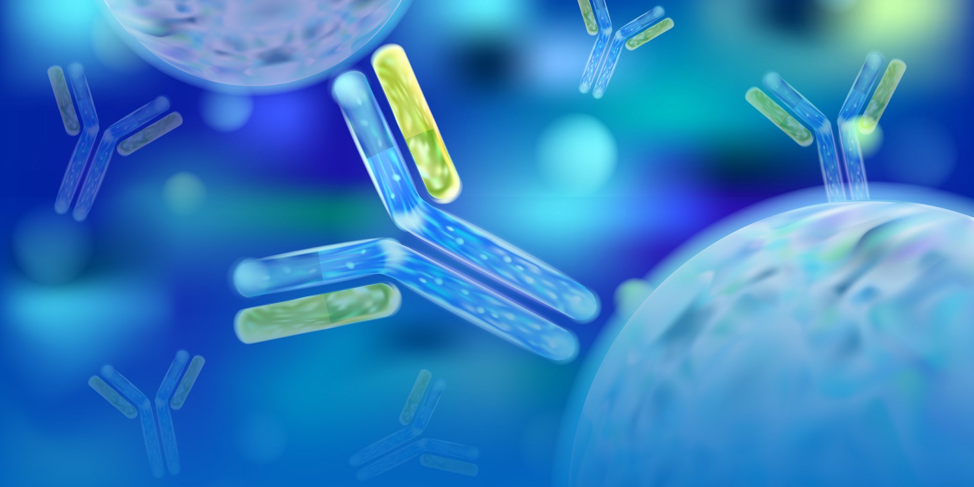 wuxi-xdc WuXi XDC, производство биоконъюгатов