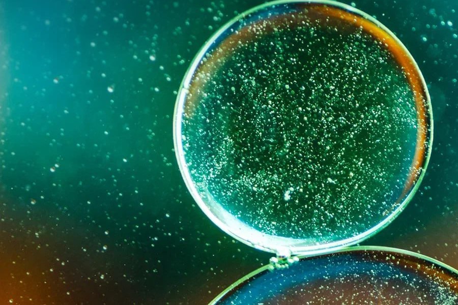 Здоровое долголетие Здоровое долголетие